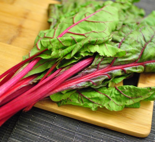 Chard Mangold Flamingo